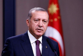Erdogan urges world leaders to immediately take all necessary steps against FETO